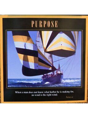 Purpose Motivational Music CD With Tracks Like Guides & Strong Will  37839cd